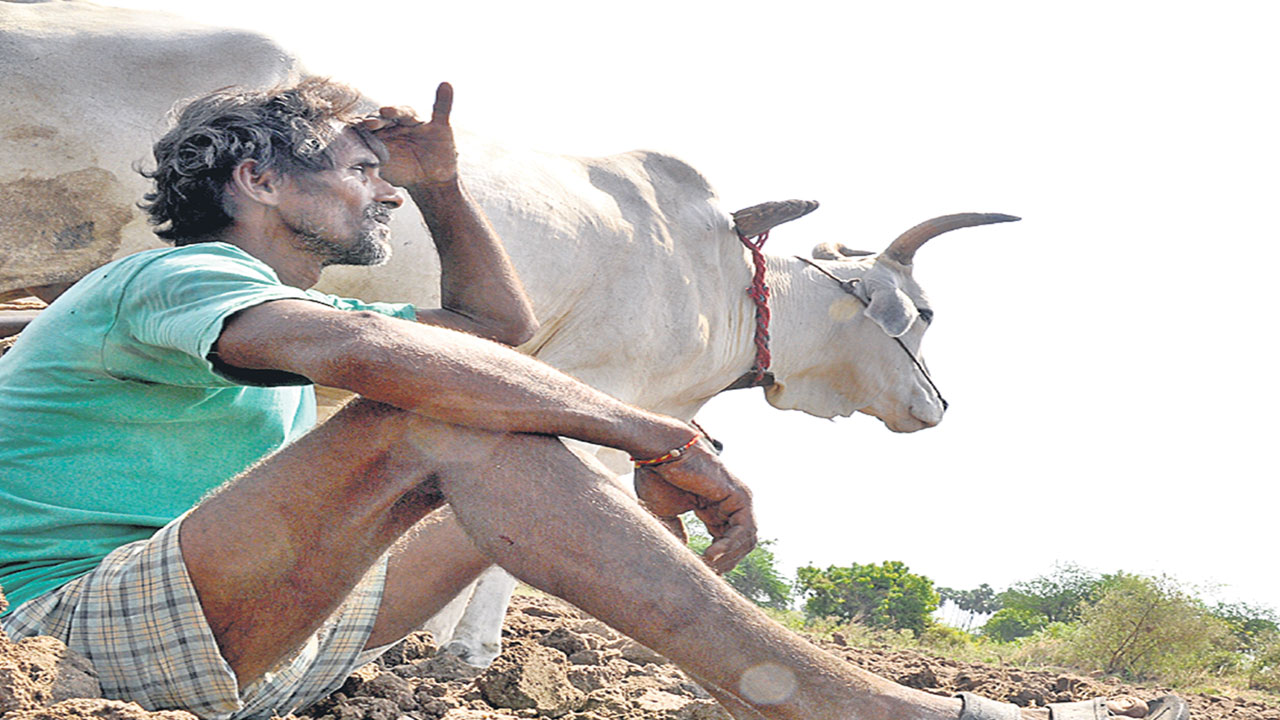 యాసంగికి గడ్డుకాలం