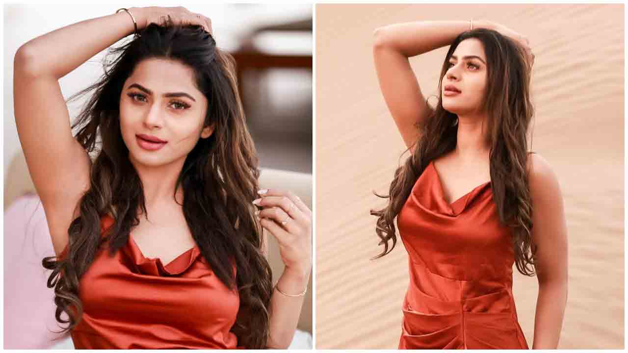 Delna Davis | మెరూన్ కలర్ డ్రెస్‌లో డెల్నా డేవీస్‌ మెరుపులు..