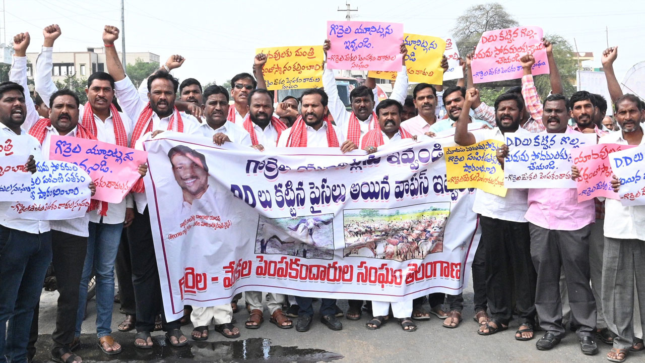 గొర్రెల యూనిట్లు పంపిణీ చేయాలి