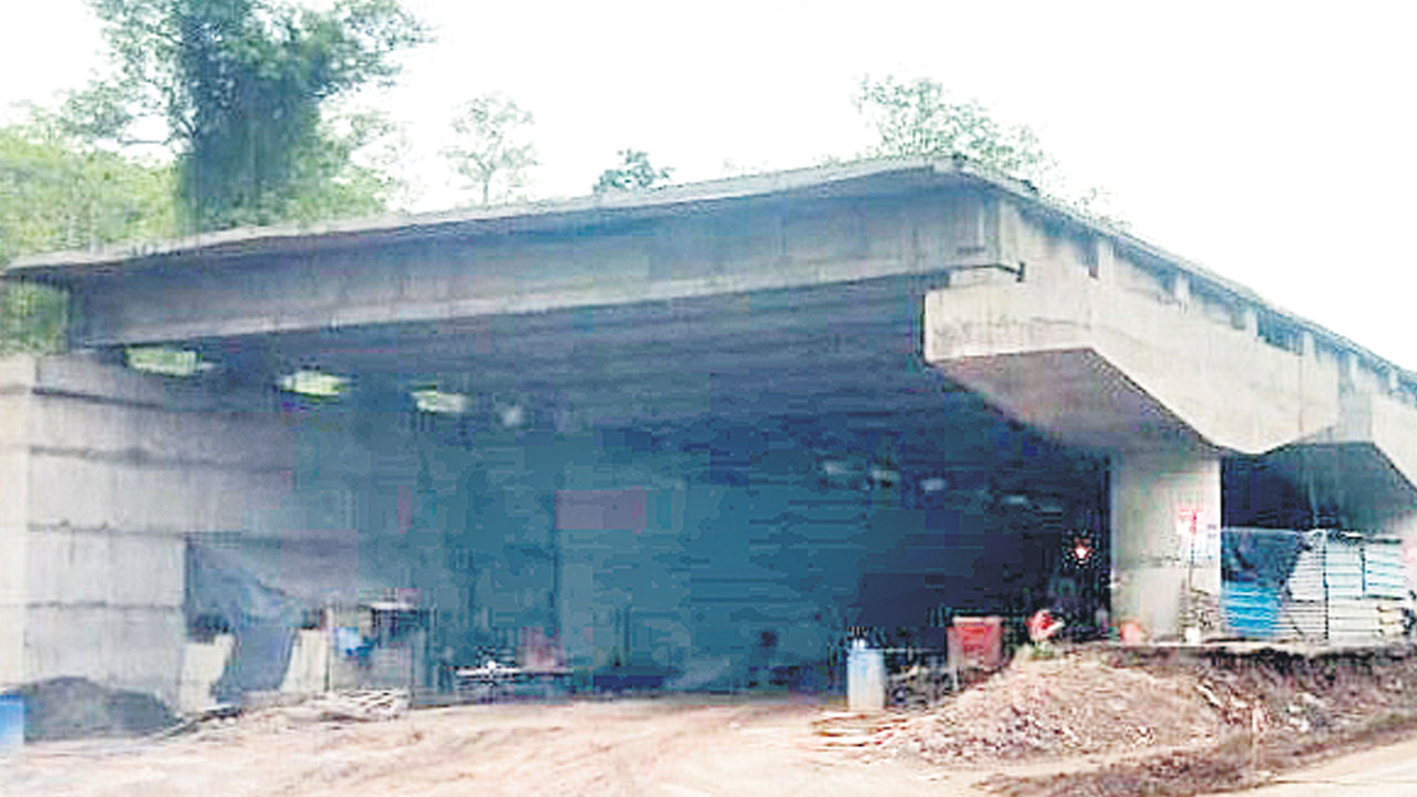 పులులు స్వేచ్ఛగా తిరిగేలా పర్యావరణ వంతెనలు