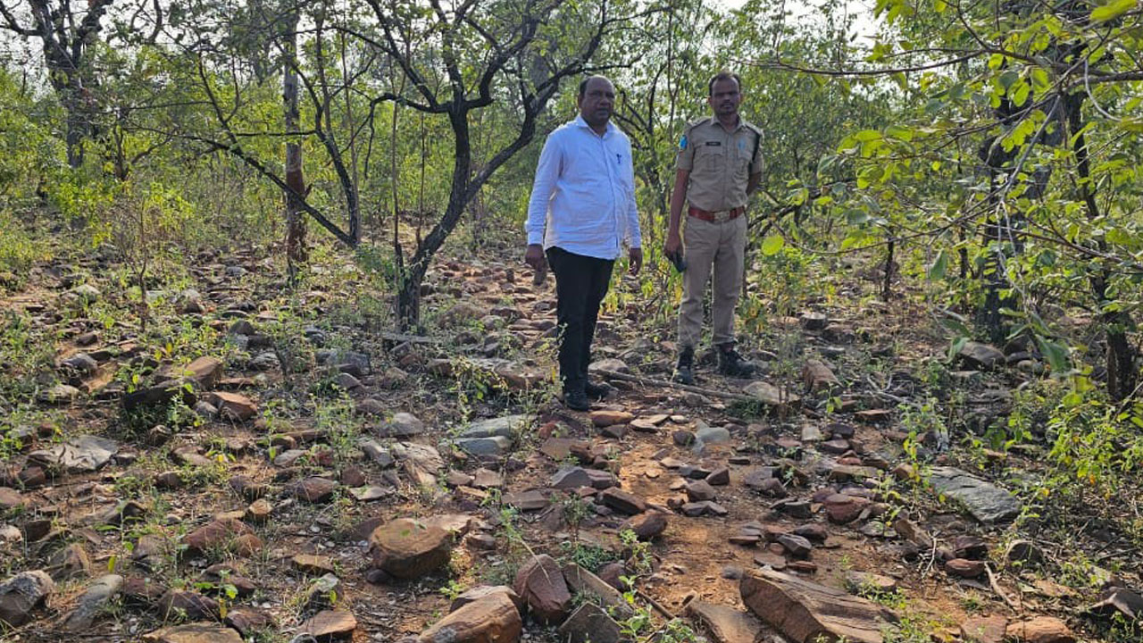 నల్లమలలో శాకాహార జంతు గణన