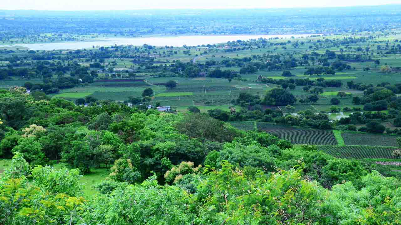 Vikarabad | వికారాబాద్‌ అడవులపై రాడార్‌ పిడుగు!.. 12 లక్షల చెట్లు నరికివేత.. లక్షల పక్షులు అంతర్థానం