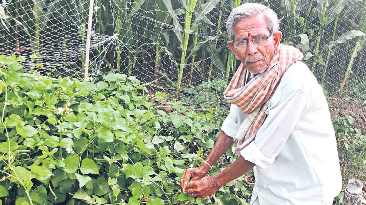 Rythu Bandhu | రైతుబంధు సగం మందికే.. ఇప్పటివరకు వచ్చింది రెండెకరాల వరకు భూమి ఉన్న రైతులకే