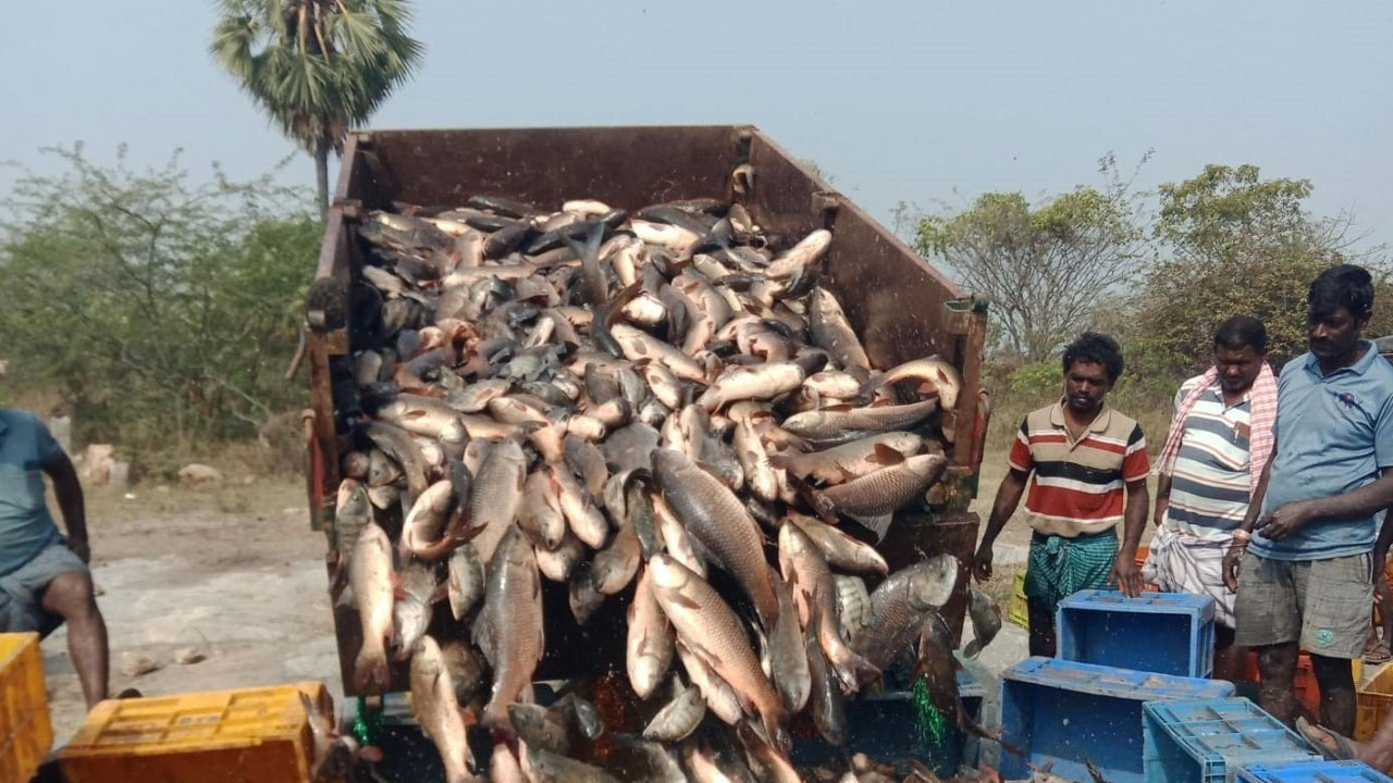 కాళేశ్వరం జలాలతో నీలి విప్లవం
