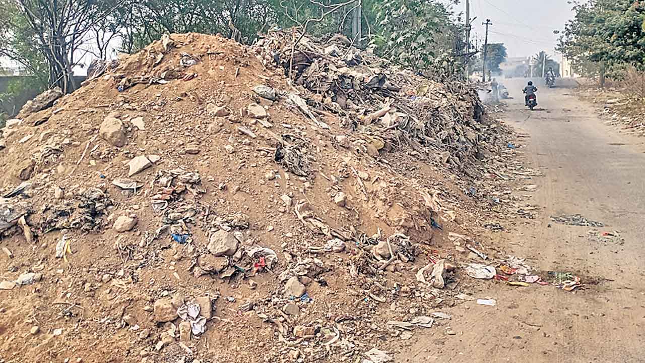 పడకేసిన పారిశుధ్యం