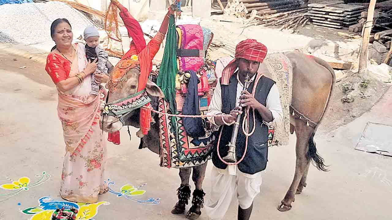 ఘనంగా సంక్రాంతి వేడుకలు..