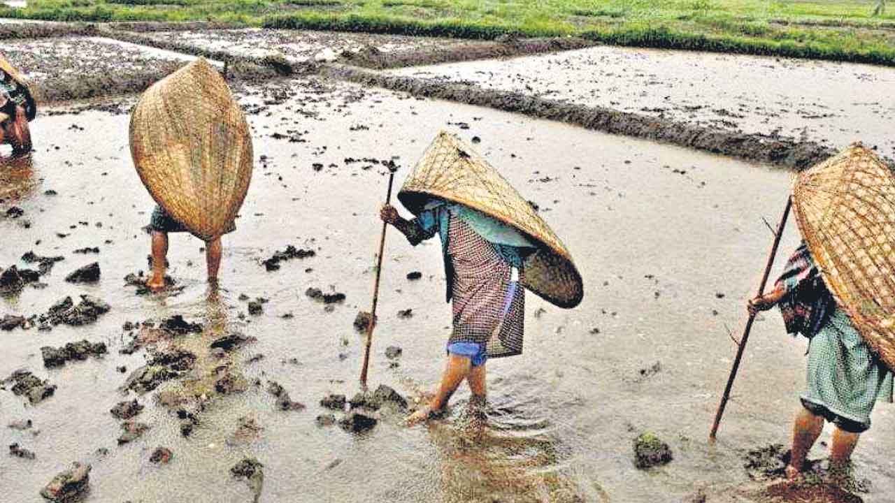 IMD | పంచాయతీ స్థాయిలో వాతావరణ హెచ్చరికలు.. చిన్న రైతులకు మేలు చేసేలా ఐఎండీ సేవల విస్తరణ