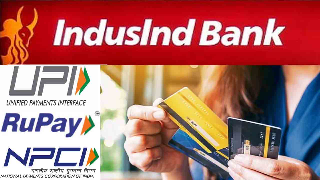 IndusInd Bank Credit Card | ప్రభుత్వోద్యోగుల కోసం రూపే క్రెడిట్ కార్డ్.. దీంతో బెనిఫిట్లు ఇలా..!
