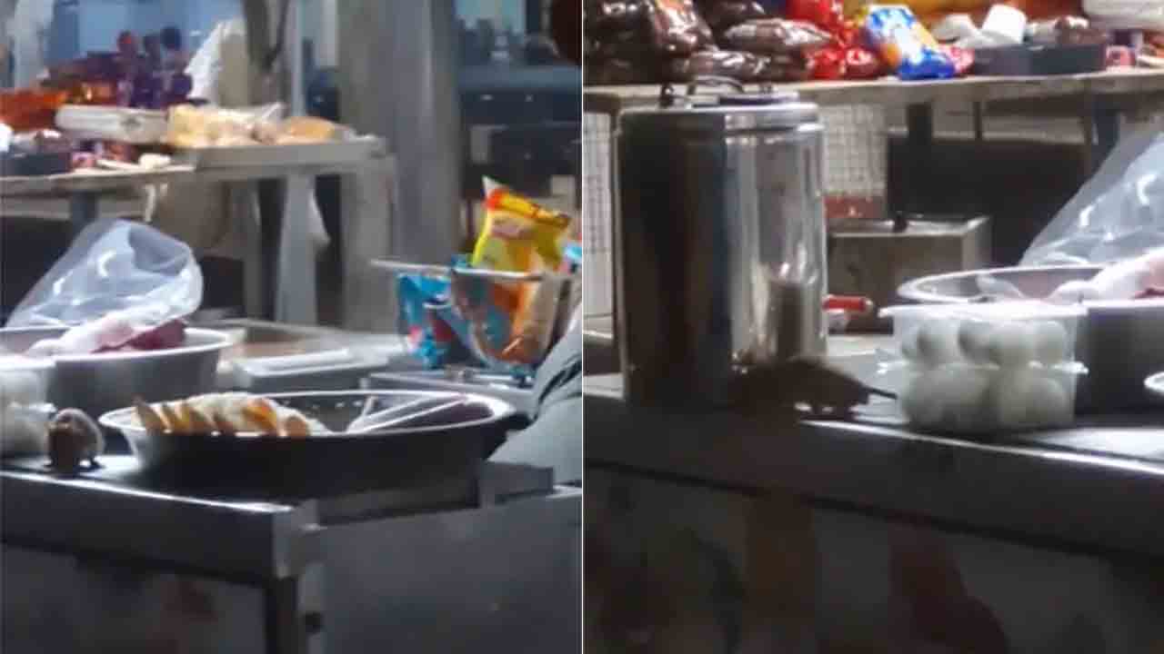Rats In IRCTC Stall | ఐఆర్సీటీసీ స్టాల్లో ఎలుకలు స్వైరవిహారం.. ఫుడ్ను టేస్ట్ చేస్తూ.. VIDEO