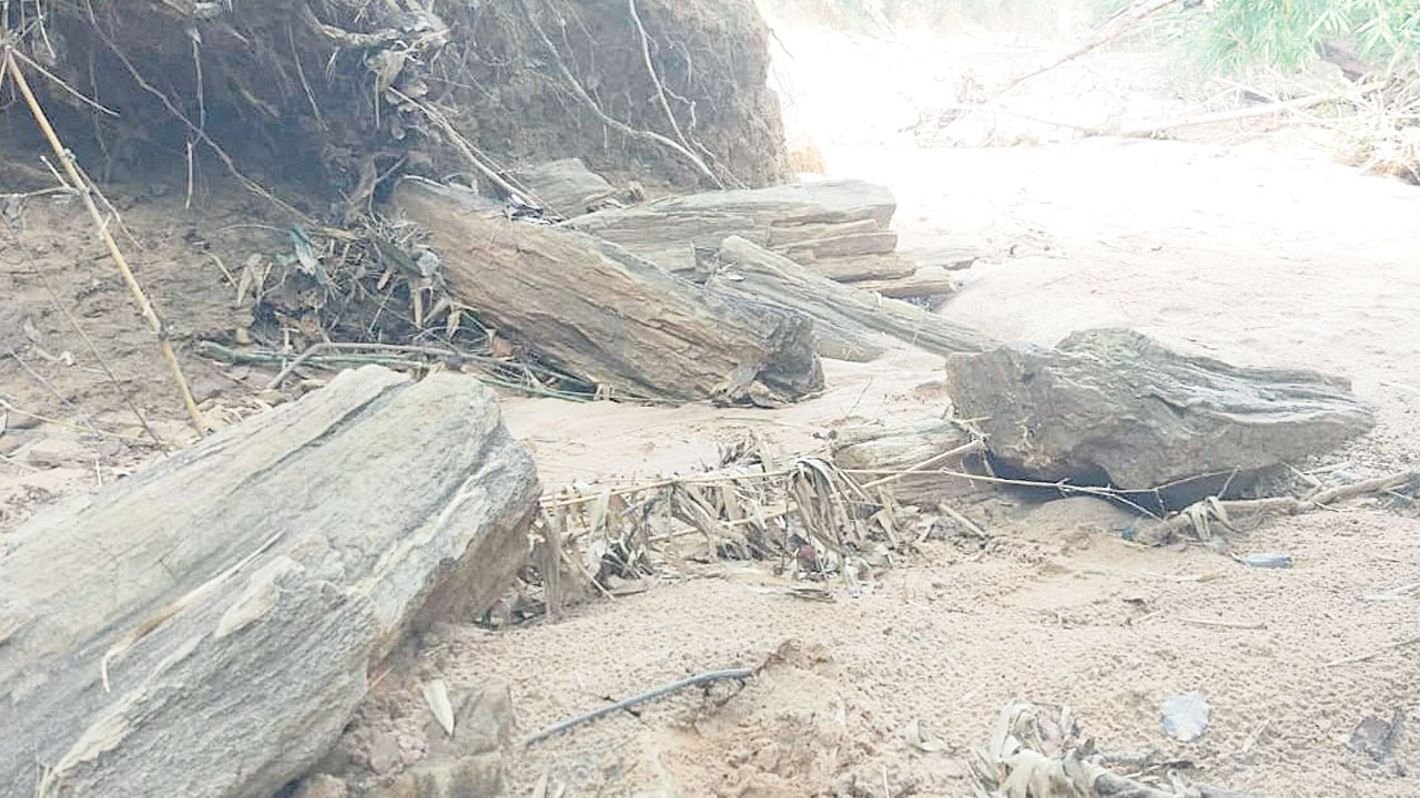 పెంచికల్‌పేట వృక్ష శిలాజాల కోట