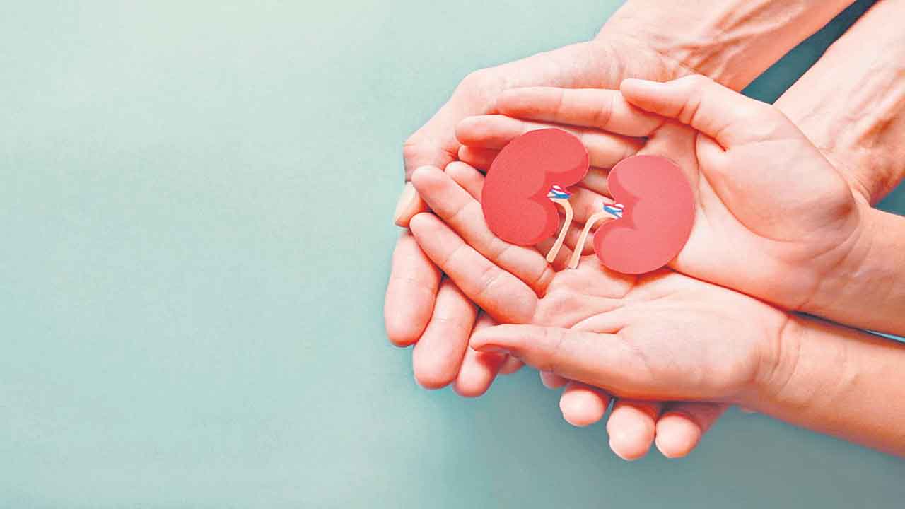 Swapping | కిడ్నీ రోగులకు గుడ్‌ న్యూస్‌.. సేమ్‌ బ్లడ్‌ గ్రూప్‌ కాకపోయినా కిడ్నీ దానం తీసుకోవచ్చు
