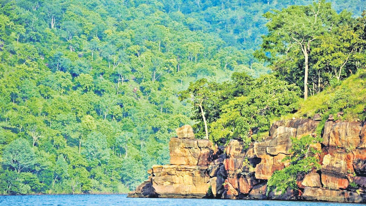 Nallamala Forest | కనువిందు చేస్తున్న నల్లమల ప్రకృతి అందాలు