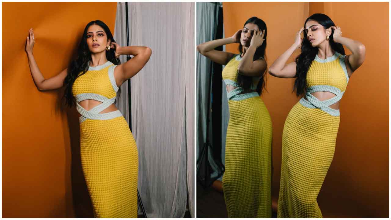 Malavika Mohanan : మాళవిక గ్లామర్ ధమాకా అదుర్స్..