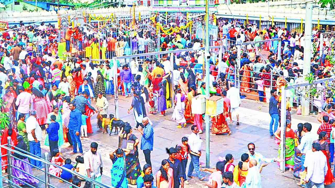 మేడారం.. జనసంద్రం