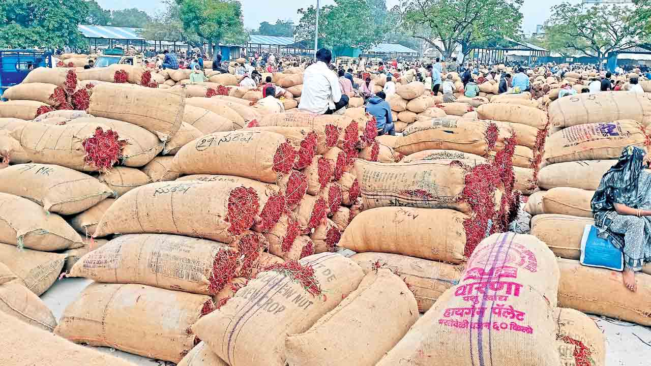 భగ్గుమన్న మిర్చి రైతు