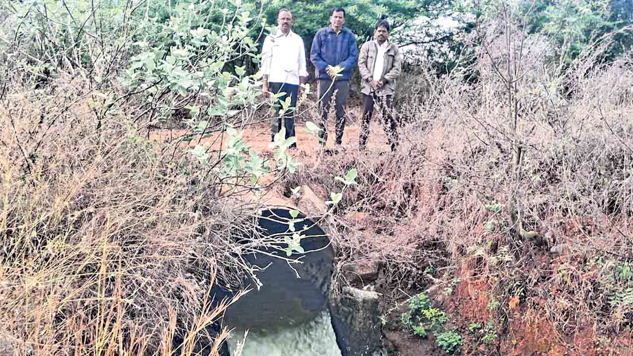 గోదావరి గలగలలు