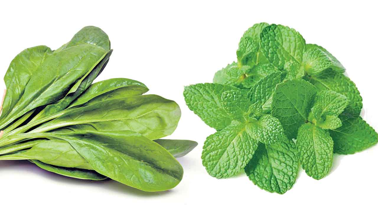 Immunity Boosters | వంటింట్లో ఇన్ని దివ్యౌషధాలున్నాయా.. మీరూ ట్రై చేయండి!