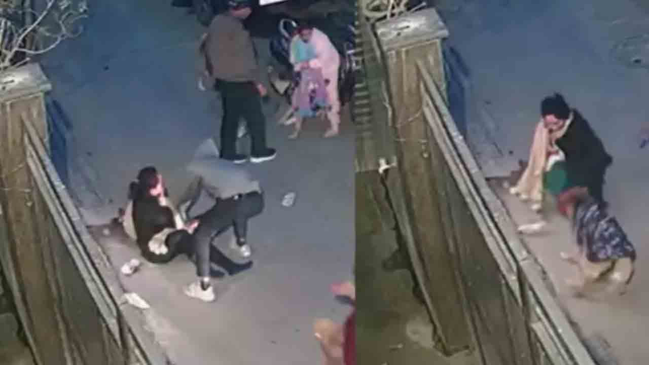 Watch: చిన్నారిపై కుక్క దాడి.. రక్షించేందుకు ప్రయత్నించిన తల్లి