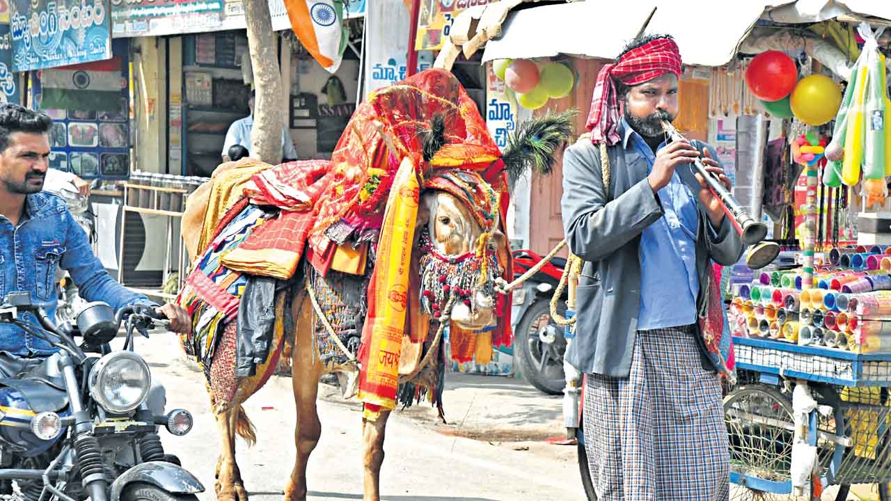 పల్లె లోగిళ్లు.. పండుగ సందడి