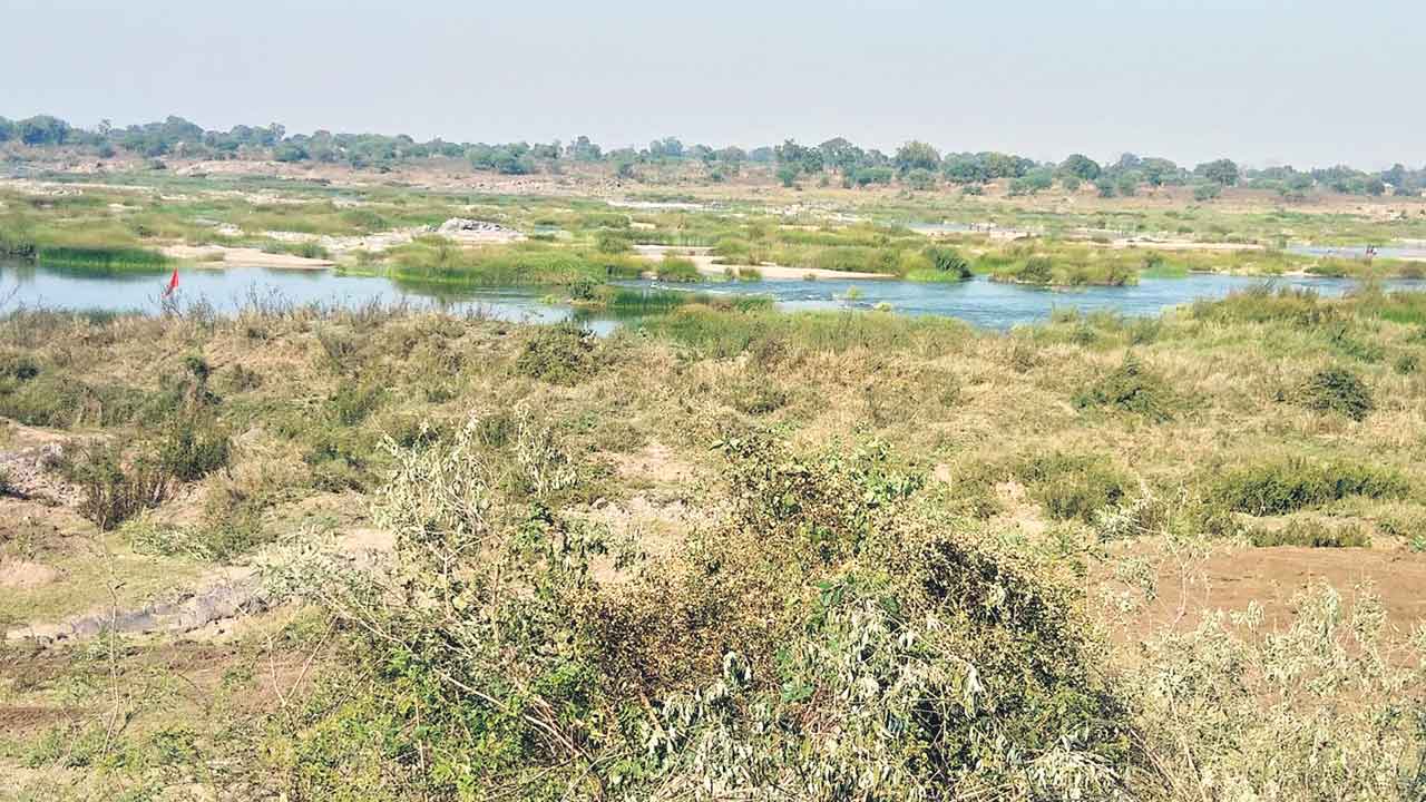 Wardha Barrage | వార్ధా నిర్మాణంపై సందిగ్ధత.. ప్రాణహితపై బరాజ్‌కు కాంగ్రెస్‌ ప్రభుత్వం ఆసక్తి