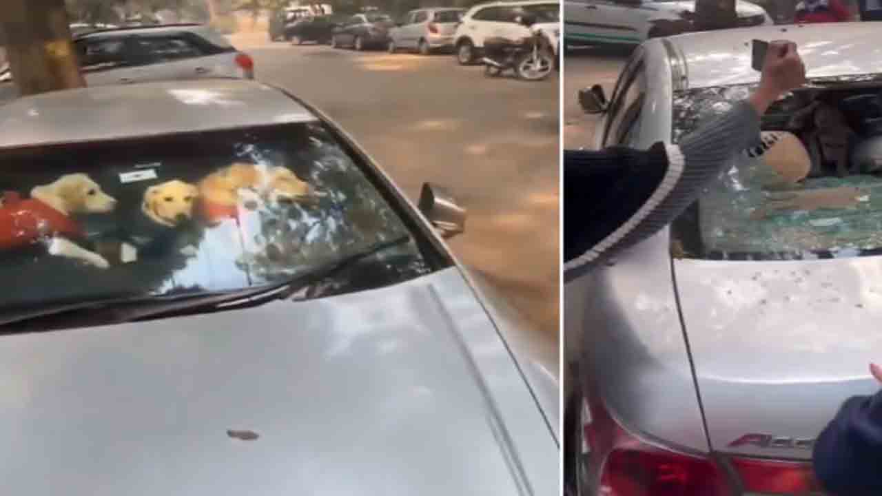 Watch: కుక్క పిల్లలను కారులో నిర్బంధించిన మహిళ.. జంతు ప్రేమికులు ఏం చేశారంటే?