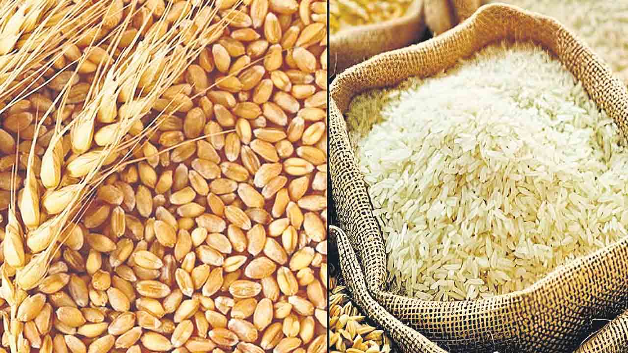 Food | విషాన్ని తింటున్నాం.. బియ్యం, గోధుమల్లో క్షీణించిన పోషకాలు.. భారీగా పెరిగిన ఆర్సెనిక్‌