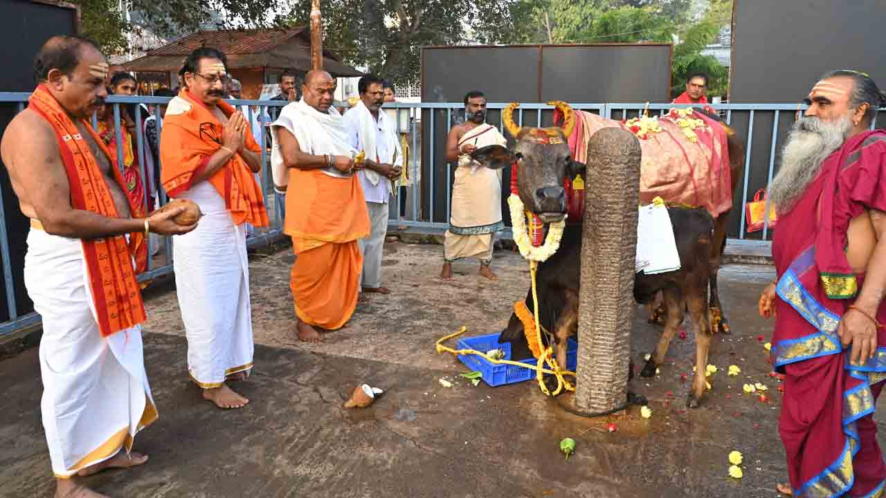 Srisailam | క‌నుమ ప‌ర్వ‌దినాన శ్రీశైలంలో గోపూజా మ‌హోత్స‌వం..!