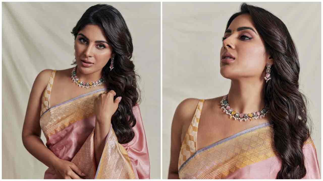 Samyuktha Menon | గులాబీ చీరలో గుబాళిస్తున్న సంయుక్త మీనన్..