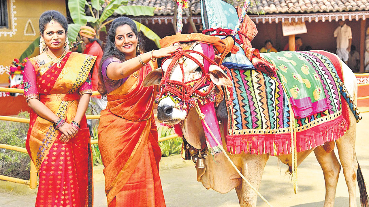 సంక్రాంతి వచ్చిందే తుమ్మెదా..