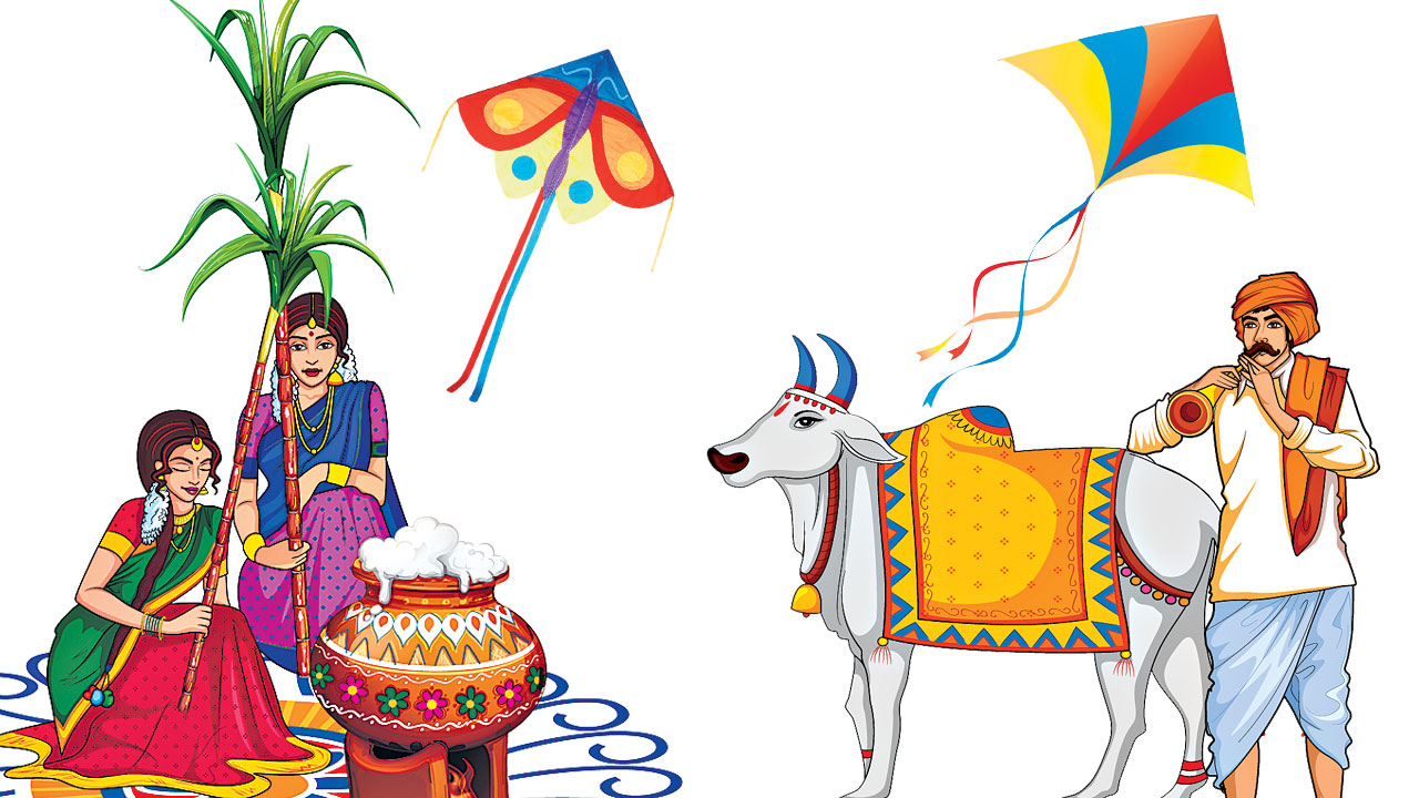 Sankranti | సరదాల సంక్రాంతి.. ముంగిట ముత్యాల ముగ్గులు.. ముచ్చటగొలిపే గొబ్బెమ్మలు