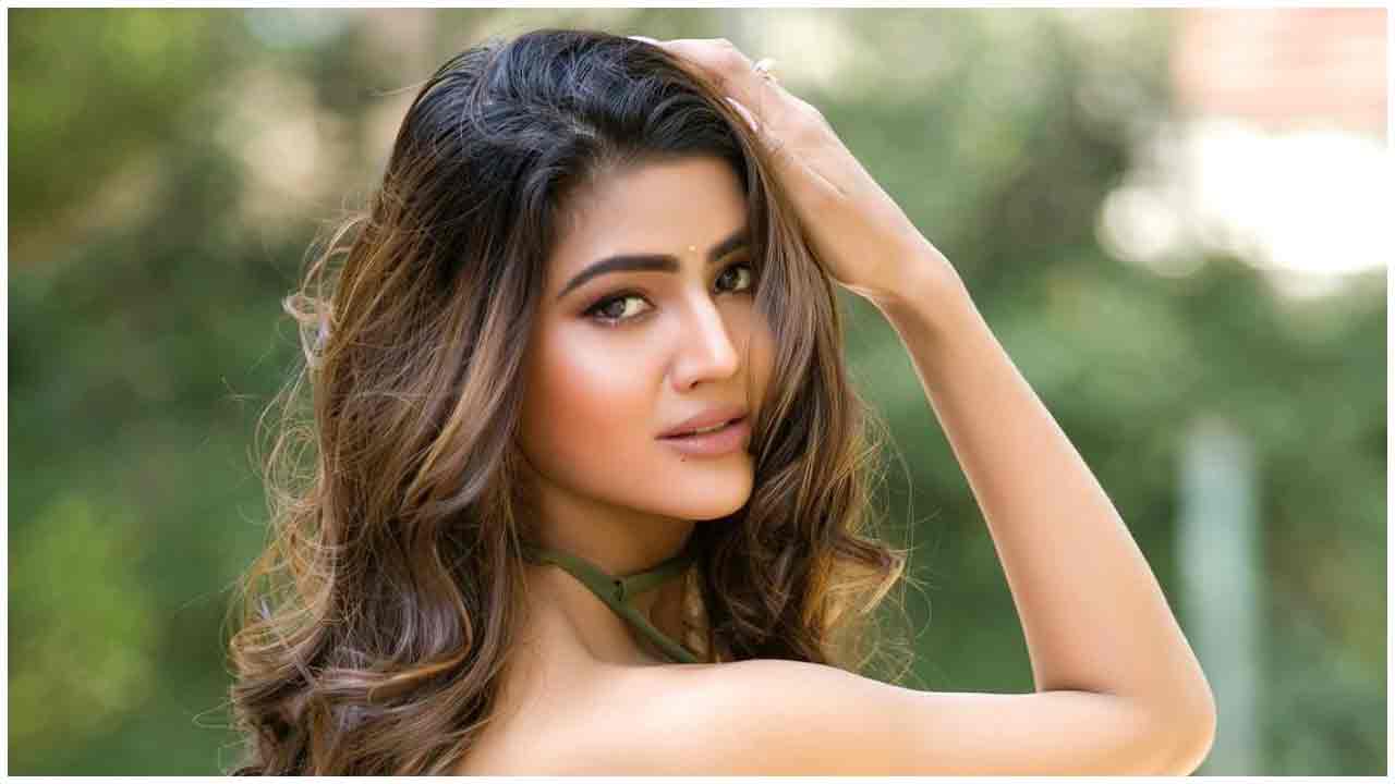 Soniya Bansal | నడుమందాలతో సెగలు పుట్టిస్తున్న సోనియా బన్సాల్..