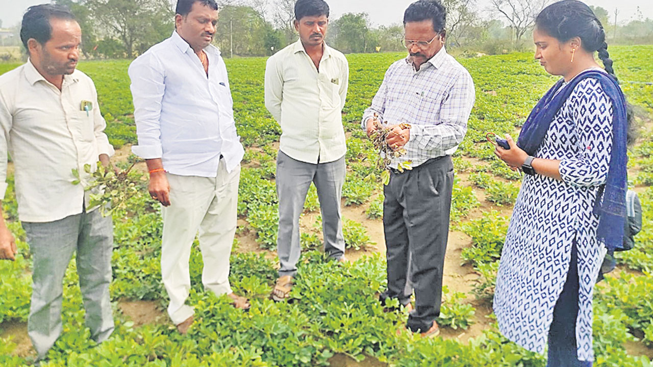 పంటలను ఆన్‌లైన్‌లో నమోదు చేసుకోవాలి