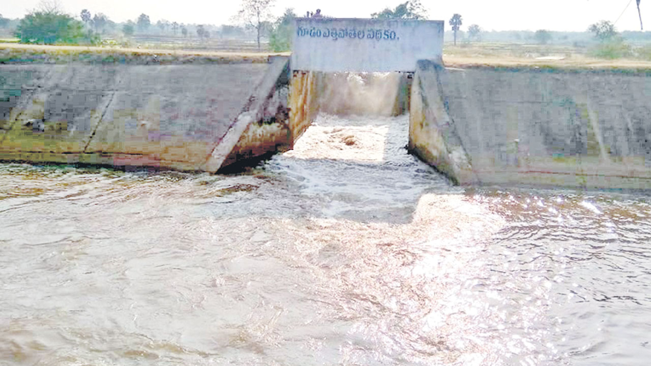జోరుగా యాసంగి సాగు