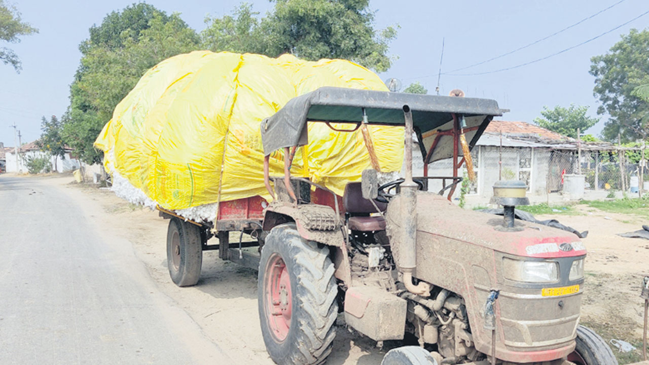 పత్తి రేటు డమాల్‌