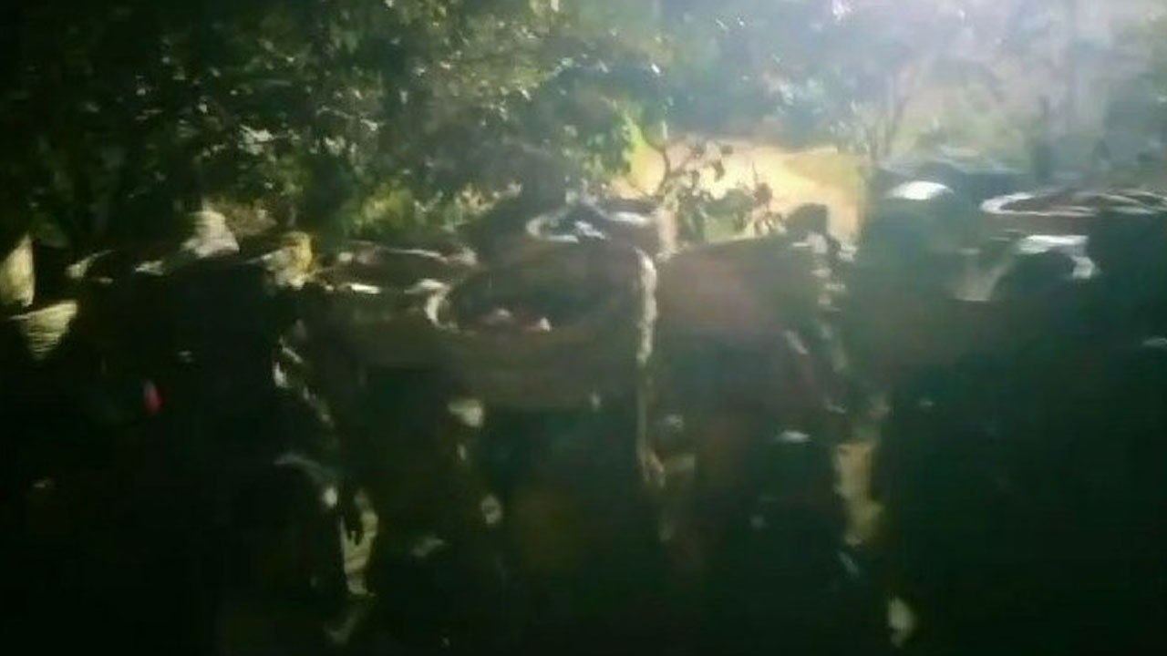 ఊరికి కీడొచ్చిందని..