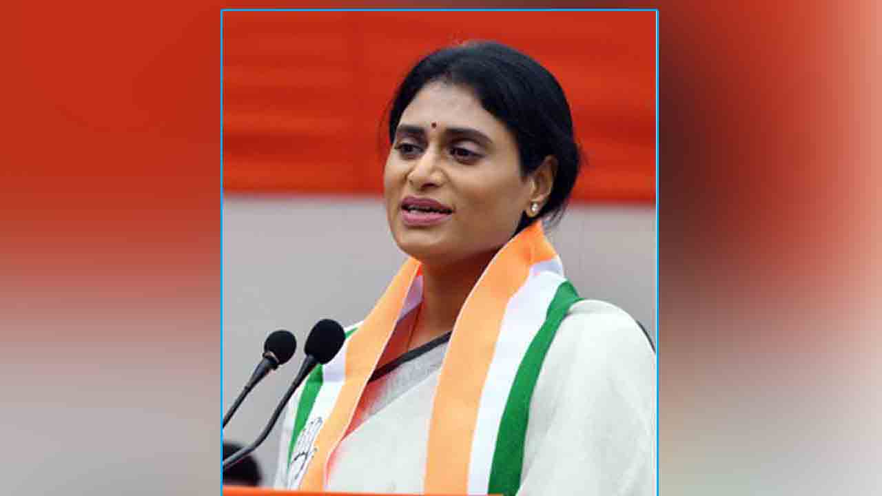 YS Sharmila | పులి కడుపున పులే పుడుతుంది.. నేను వైఎస్ఆర్ బిడ్డను : షర్మిల