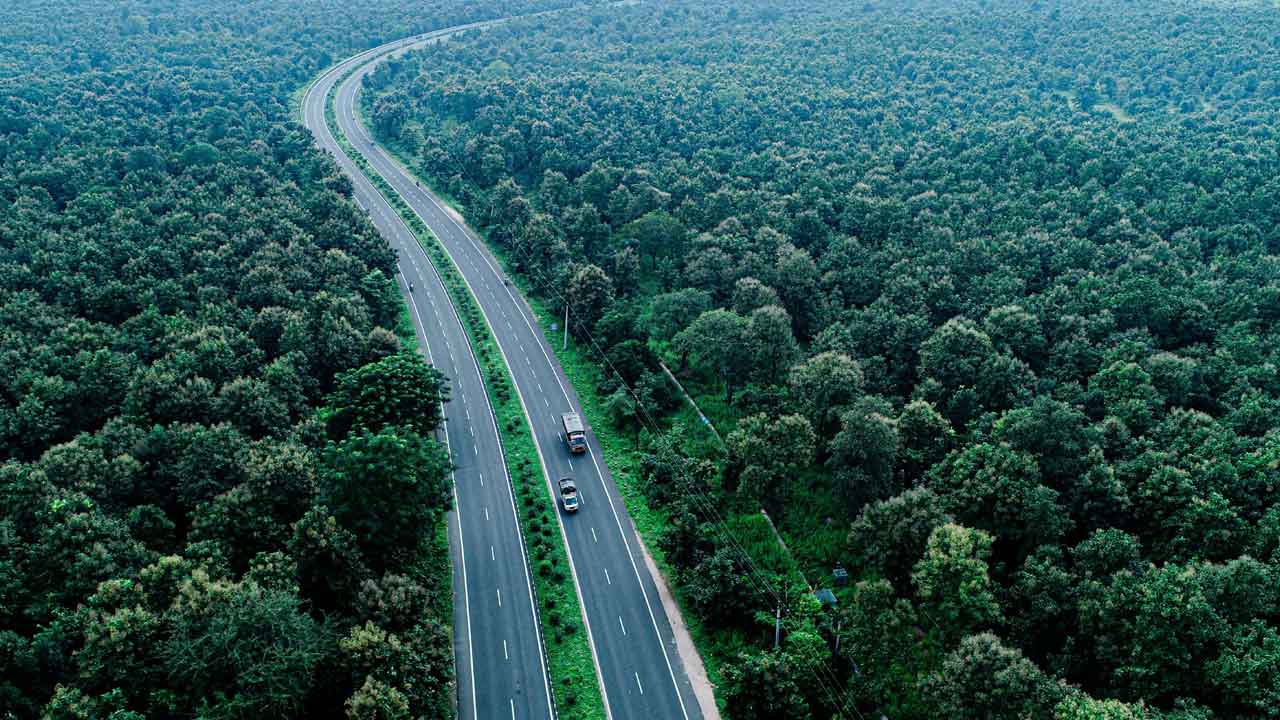 Adilabad | పులులకు కేరాఫ్‌గా ఆదిలాబాద్‌ అడవులు.. కేసీఆర్‌ సర్కారు హయాంలో పెరిగిన ఫారెస్ట్‌ విస్తీర్ణం