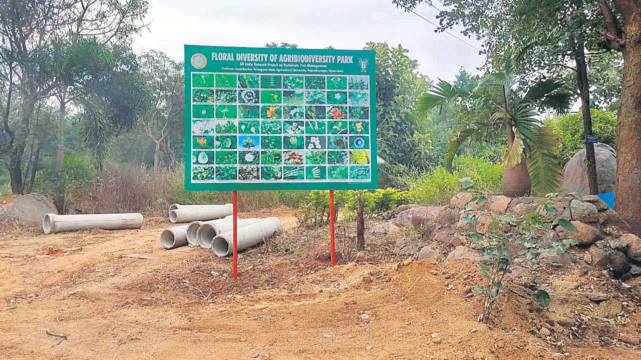 Agribiodiversity