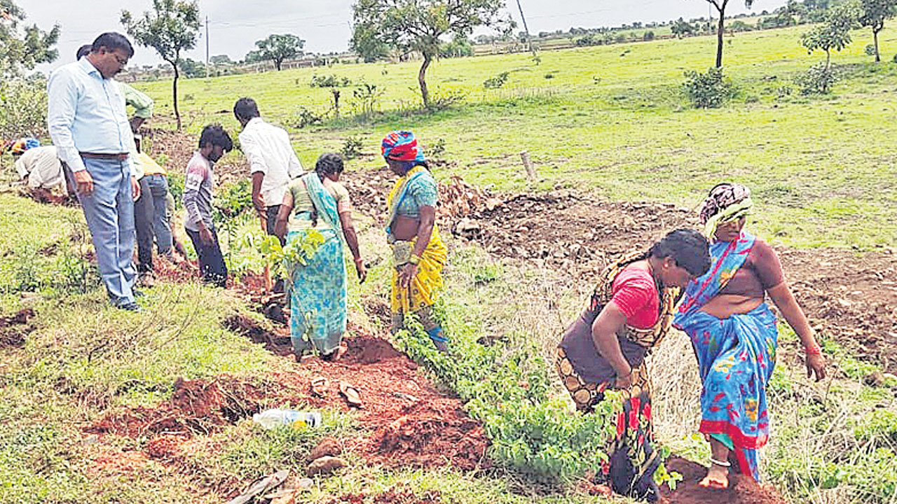 ఉపాధి లో మూడో స్ధానం