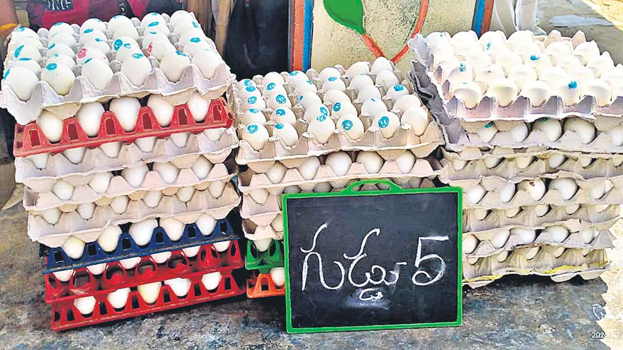 Anganwadi Eggs | అంగట్లో అంగన్‌వాడీ గుడ్లు.. వికారాబాద్‌ చౌడాపూర్‌లో 5 చొప్పున విక్రయం