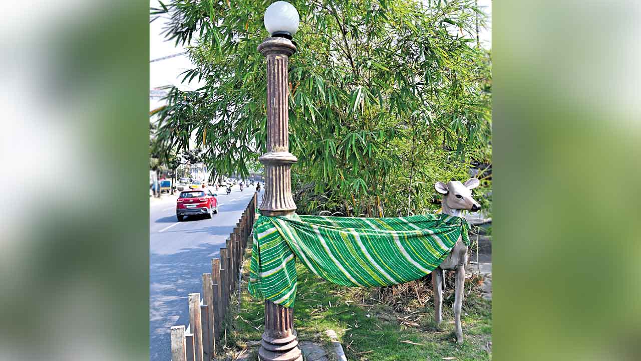 కళా హీనంగా ఆకృతులు