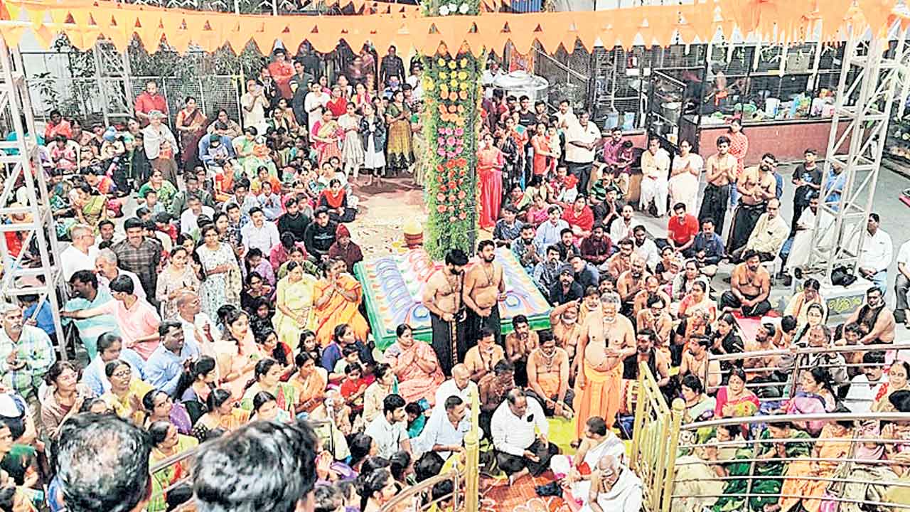 నూతన సందడి