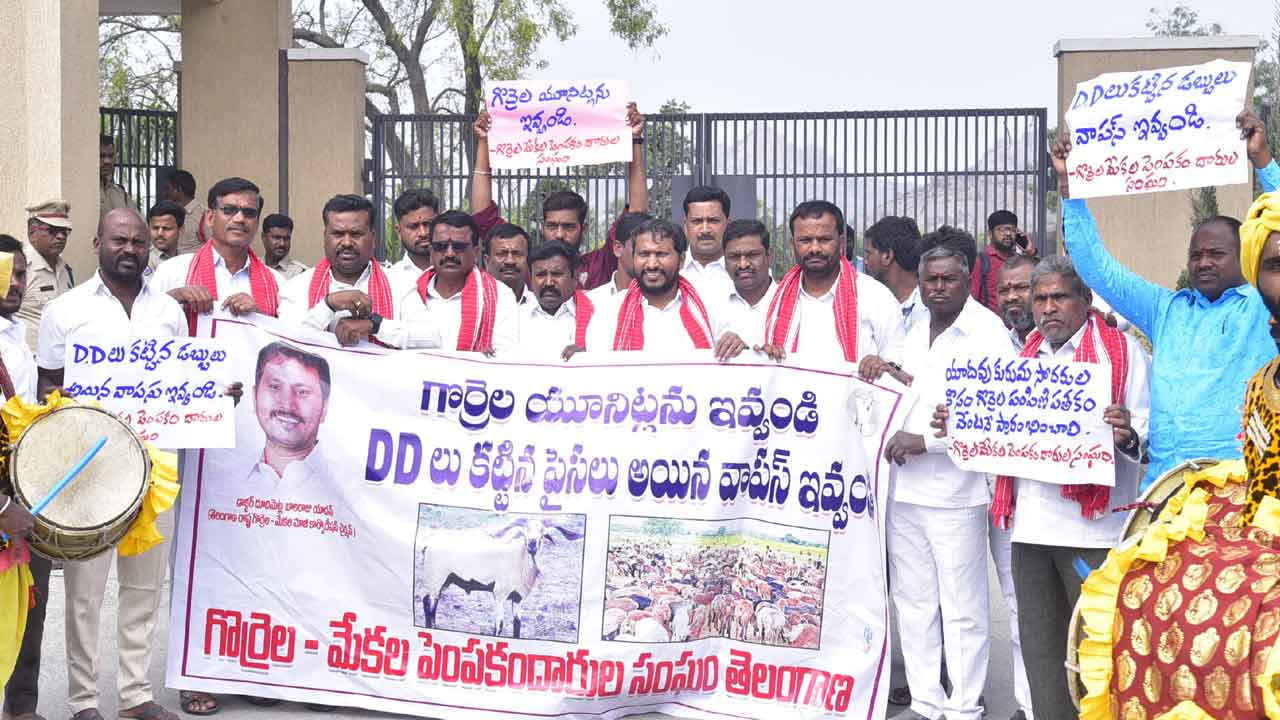 Sheep units | గొర్రెల యూనిట్లు మంజూరు చేయకపోతే మా తడాఖా చూపిస్తాం : బాలరాజు యాదవ్