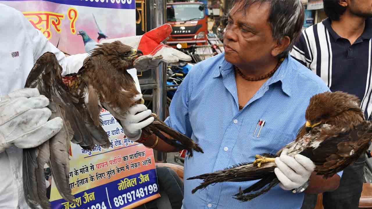 China Manja | రెండు రోజుల్లో 1,000 ప‌క్షుల‌ను బలి తీసుకున్న చైనా మాంజా