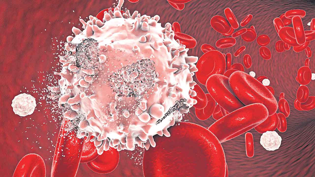 Bone Marrow Transplantation | బ్లడ్ క్యాన్సరా ? ఇక నో టెన్షన్..  ఈ చికిత్సతో పూర్తిగా కోలుకోవచ్చు!