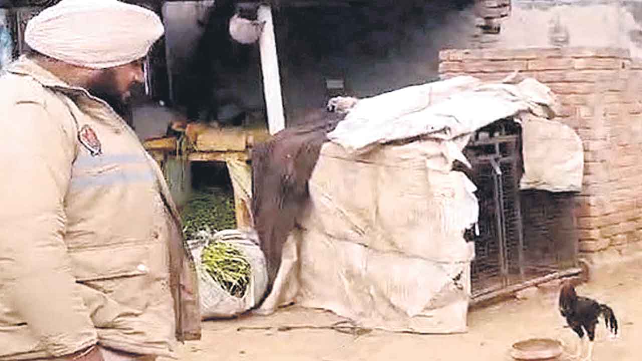 Chandigarh | ఛండీగఢ్‌లో కోడికి పోలీసుల సెక్యూరిటీ.. ఎందుకో తెలుసా?