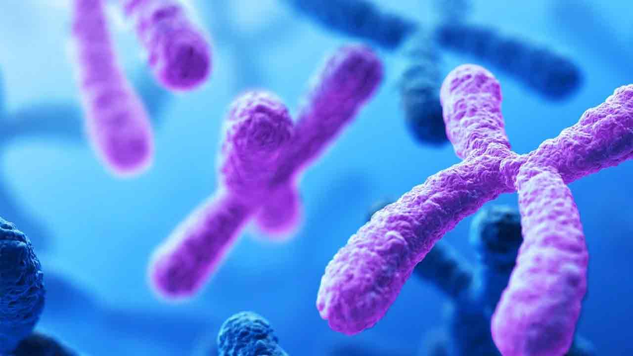 Delhi High Court: శిశువు లింగాన్ని నిర్దారించేది పురుషుడి క్రోమోజోమే.. ప్ర‌జ‌ల్లో అవ‌గాహ‌న క‌ల్పించాలి: ఢిల్లీ హైకోర్టు