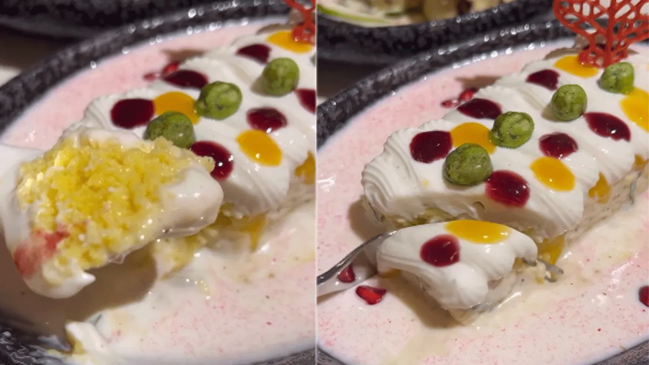 Dhokla Chaat | ఈ వెరైటీ ఫుడ్ కాంబోపై నెటిజ‌న్ల రుస‌రుస‌