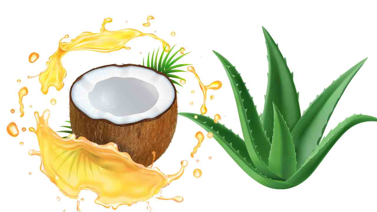 Health Tips | పొట్టపై స్ట్రెచ్‌ మార్క్స్‌తో ఇబ్బంది పడుతున్నారా.. ఆ గుర్తులు తుడిచేయండిలా !