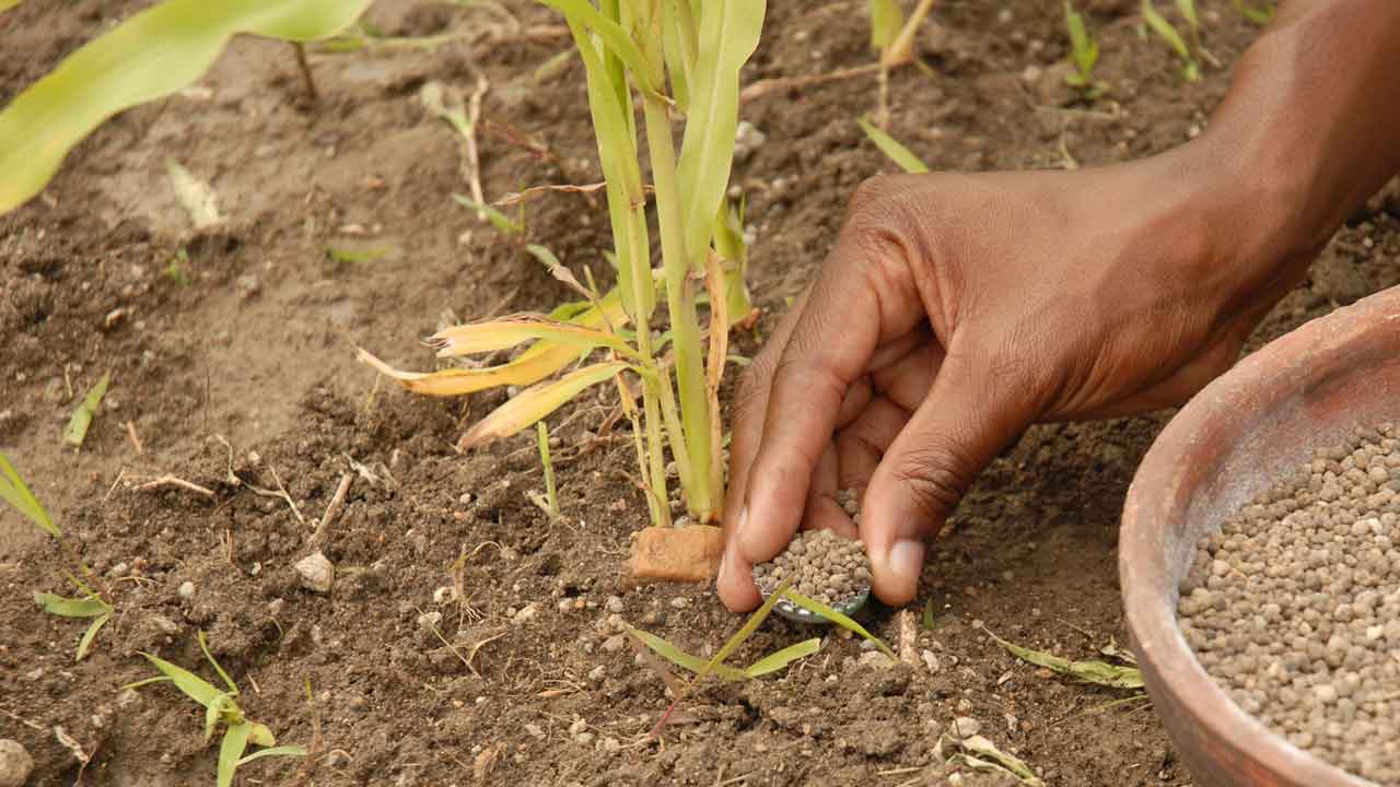పంటలపై వాతావరణ మార్పుల ప్రభావం
